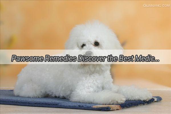 Pawsome Remedies Discover the Best Medications for Your Dogs Inflammation